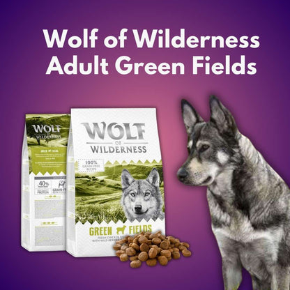 Wolf of Wilderness Adult Green Fields - Lamb