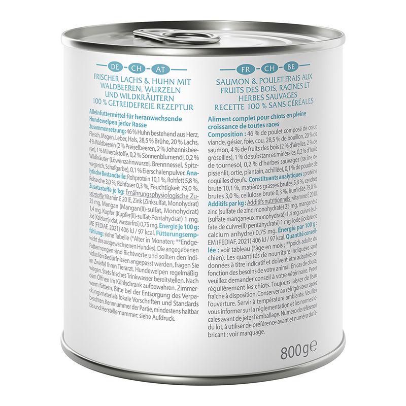 Natural food for puppies