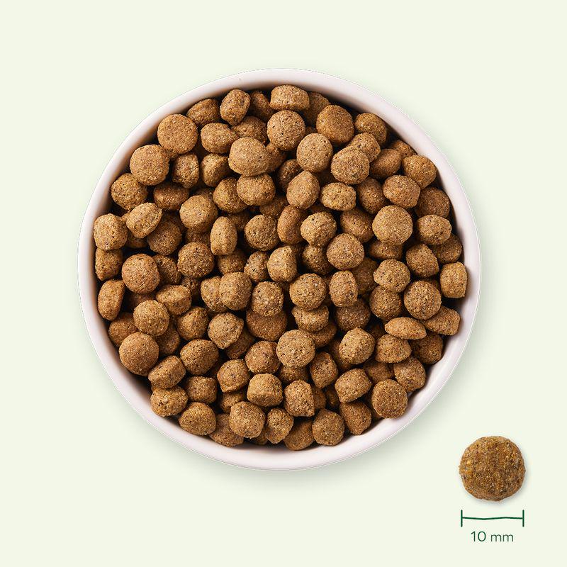 Yarrah Organic Sensitive with Organic Chicken & Organic Rice