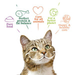 Load image into Gallery viewer, Yarrah Organic perfect protein
