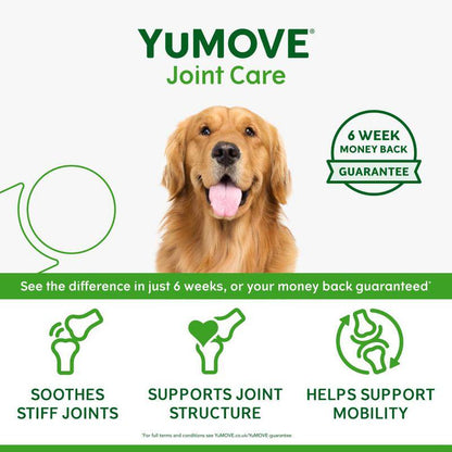 Vet-recommended supplement