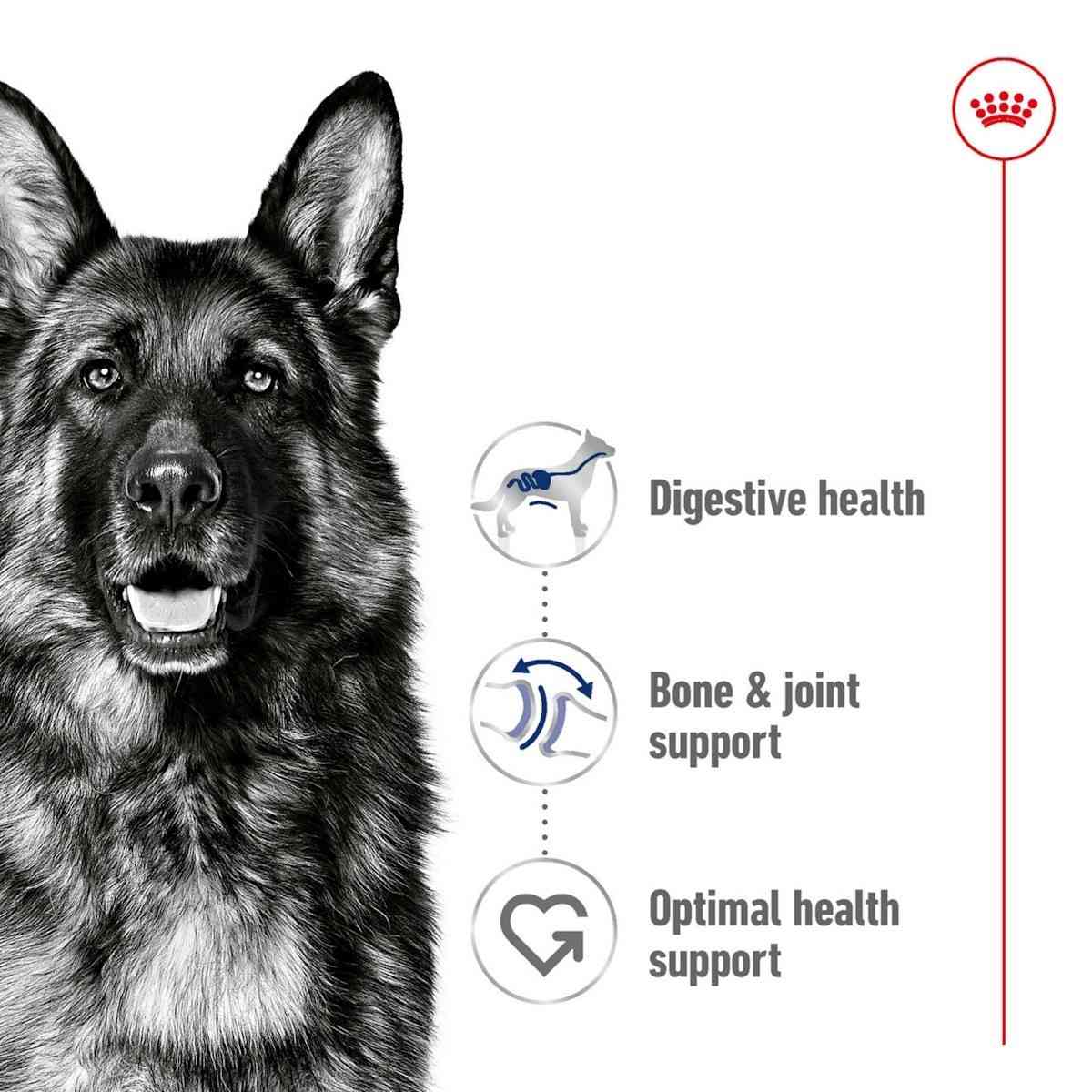 Black and white illustration of a German Shepherd with health benefits listed on a white background.