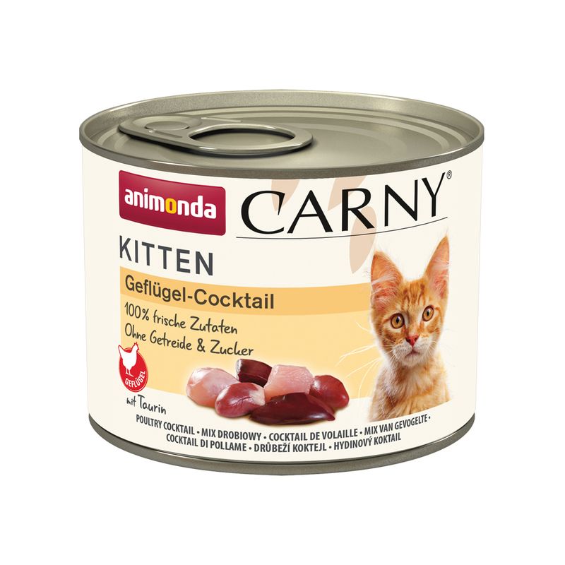 Can of Animonda Carny Kitten food with a cat illustration on a white background