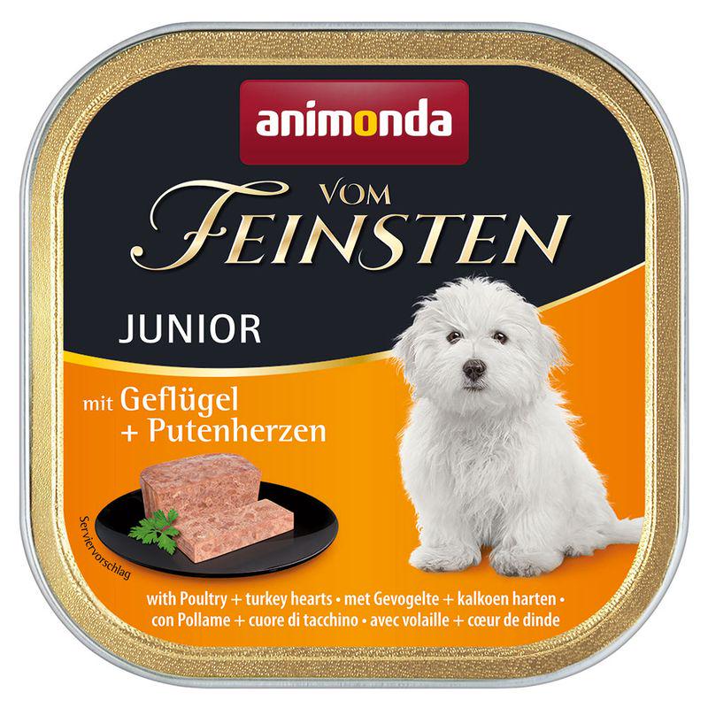 junior dog food 6 pack