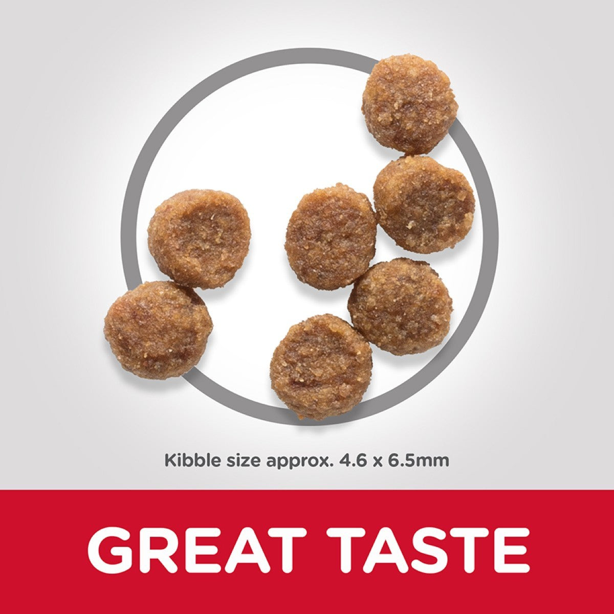 Dog kibble on a white background with 'GREAT TASTE' text