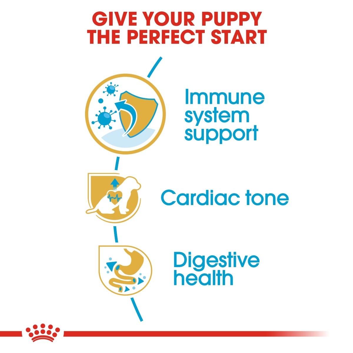 Advertisement for a pet product with icons and text about immune system support, cardiac tone, and digestive health.
