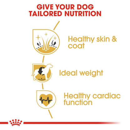 Dog food brand advertisement highlighting tailored nutrition benefits for dogs.