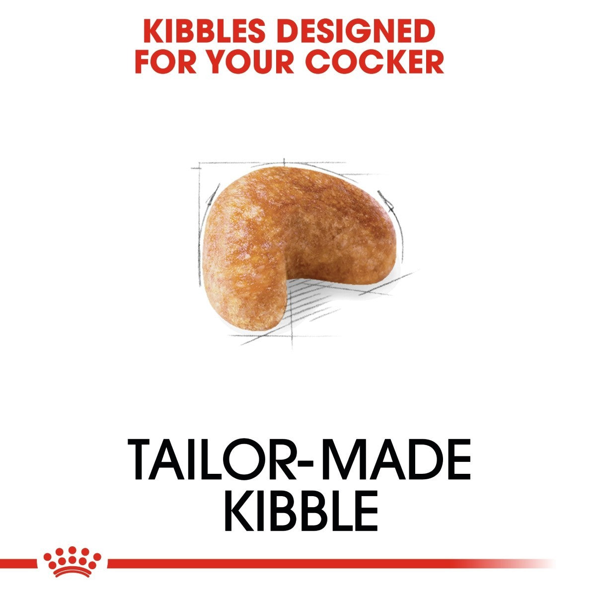 Tailor-made kibble for a cocker with text on a white background