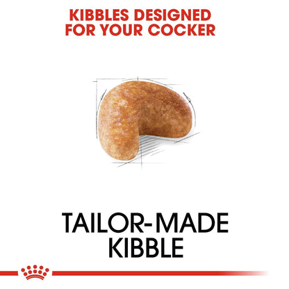 Tailor-made kibble for a cocker with text on a white background
