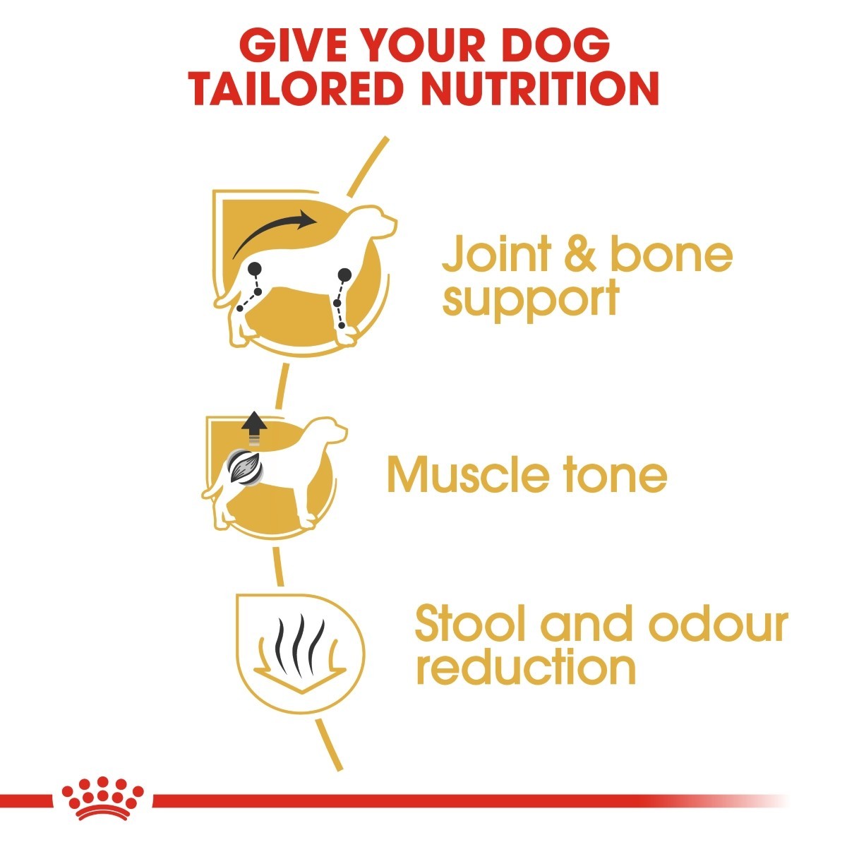 Diagram of a dog's nutritional needs with joint & bone support, muscle tone, and stool and odor reduction.