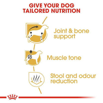 Diagram of a dog's nutritional needs with joint & bone support, muscle tone, and stool and odor reduction.