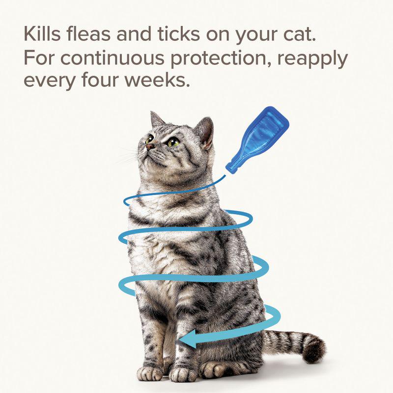 Vet-strength flea control