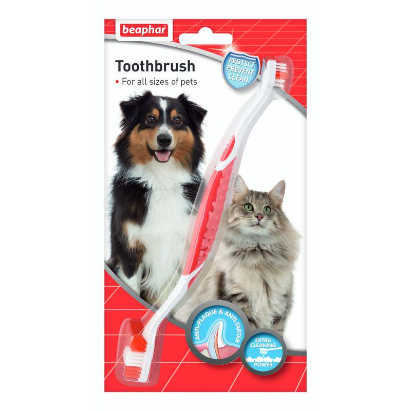 Dual-ended toothbrush