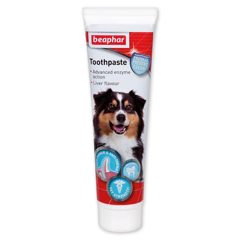 Dog cat toothpaste