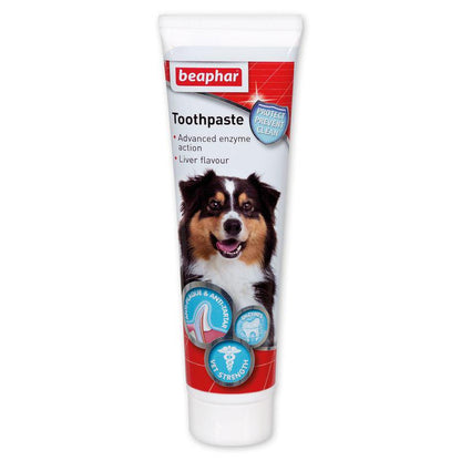 Dog cat toothpaste