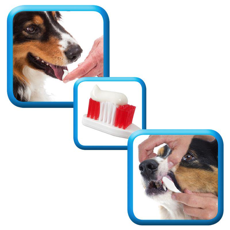 Fresh mint toothpaste