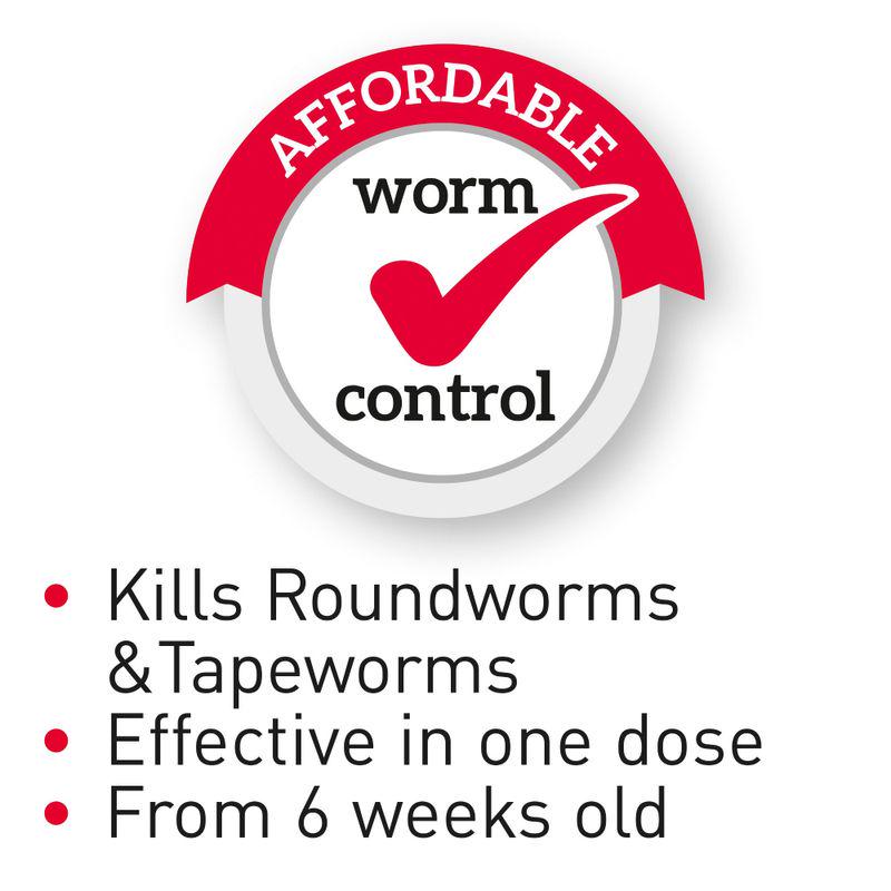 Easy cat worm treatment