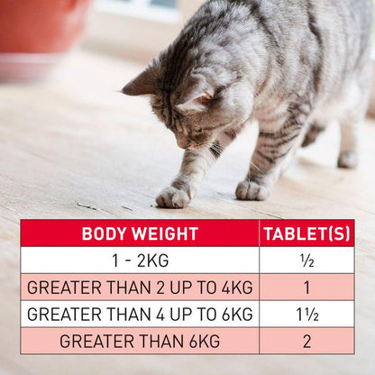 Worm tablets for cats