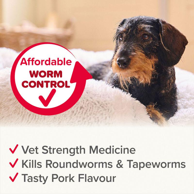 Canine worming pills