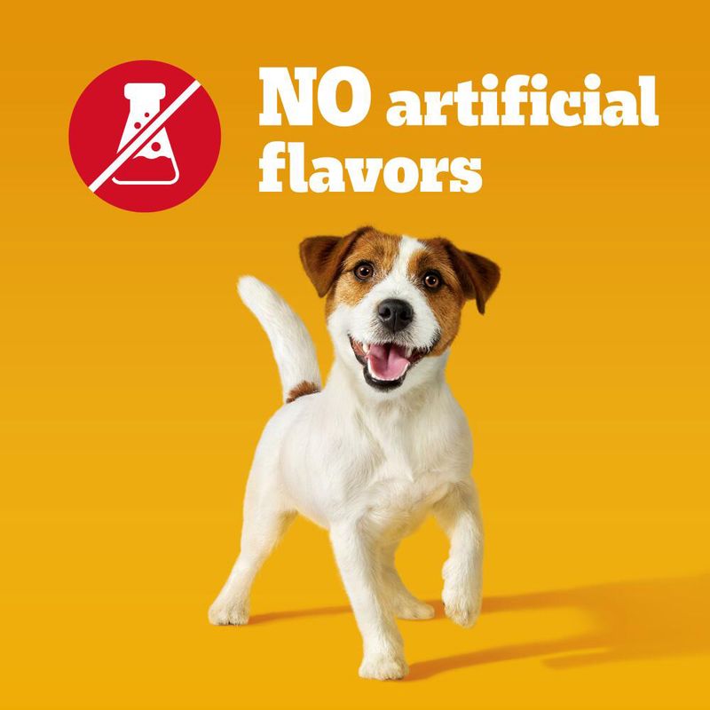 Dog on a yellow background with 'No artificial flavors' text and logo.