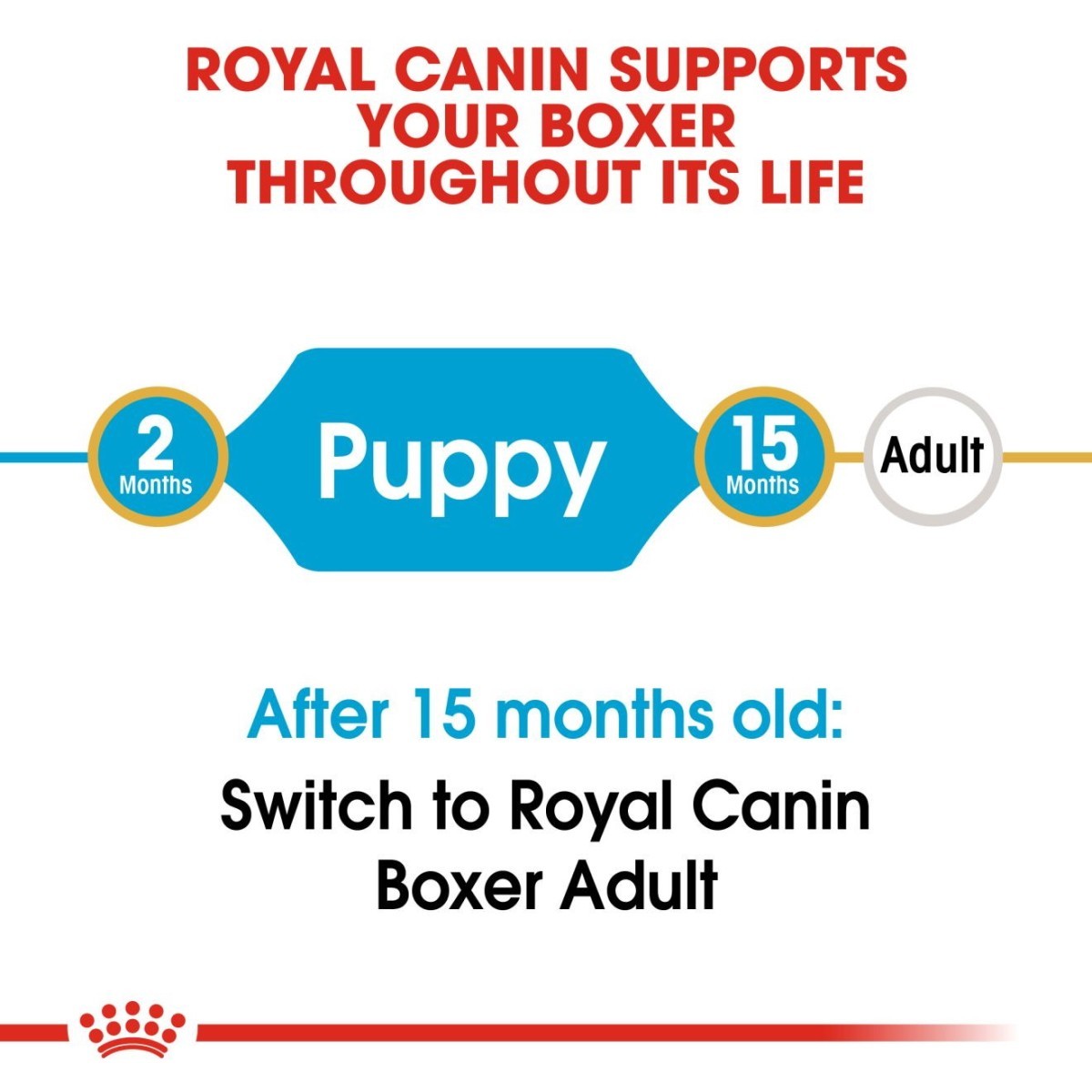Royal Canin pet food label for Boxer dogs, showing feeding guidelines from puppy to adult.