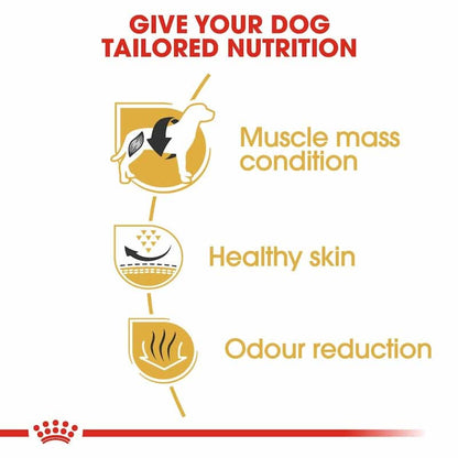 Diagram promoting tailored nutrition for dogs with icons and text on a white background