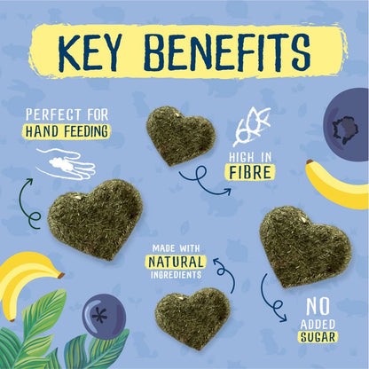 Buggaz healthy pet snacks