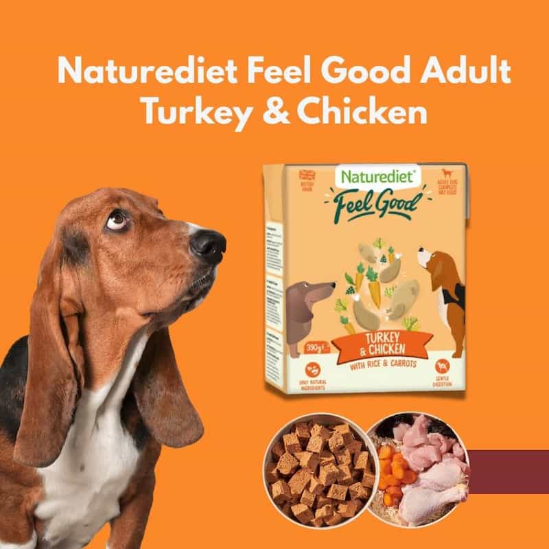 Naturediet Feel Good Adult Turkey & Chicken dog food packaging with a dog on an orange background