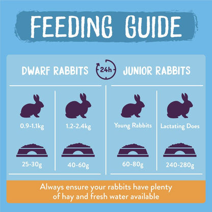 Feeding guide for dwarf and junior rabbits with recommended food amounts on a blue background.