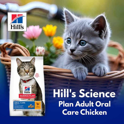 Gray kitten in a basket with a Hills Science Plan Adult Oral Care Chicken food bag, flowers in the background.