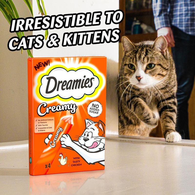 Dreamies Creamy cat treat box with a cat reaching for it