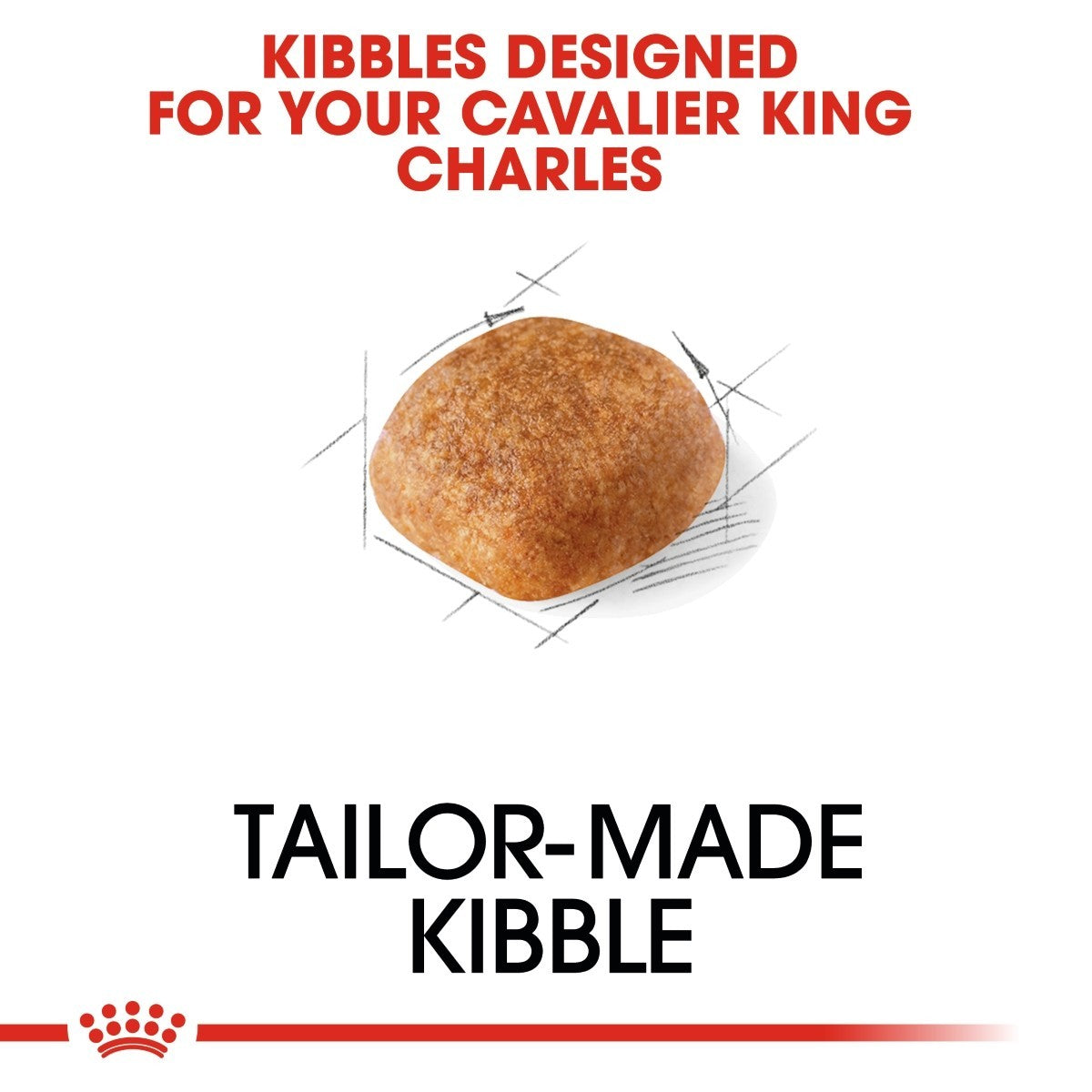 Cat food kibble with text 'Kibbles Designed for your Cavalier King Charles' on a white background