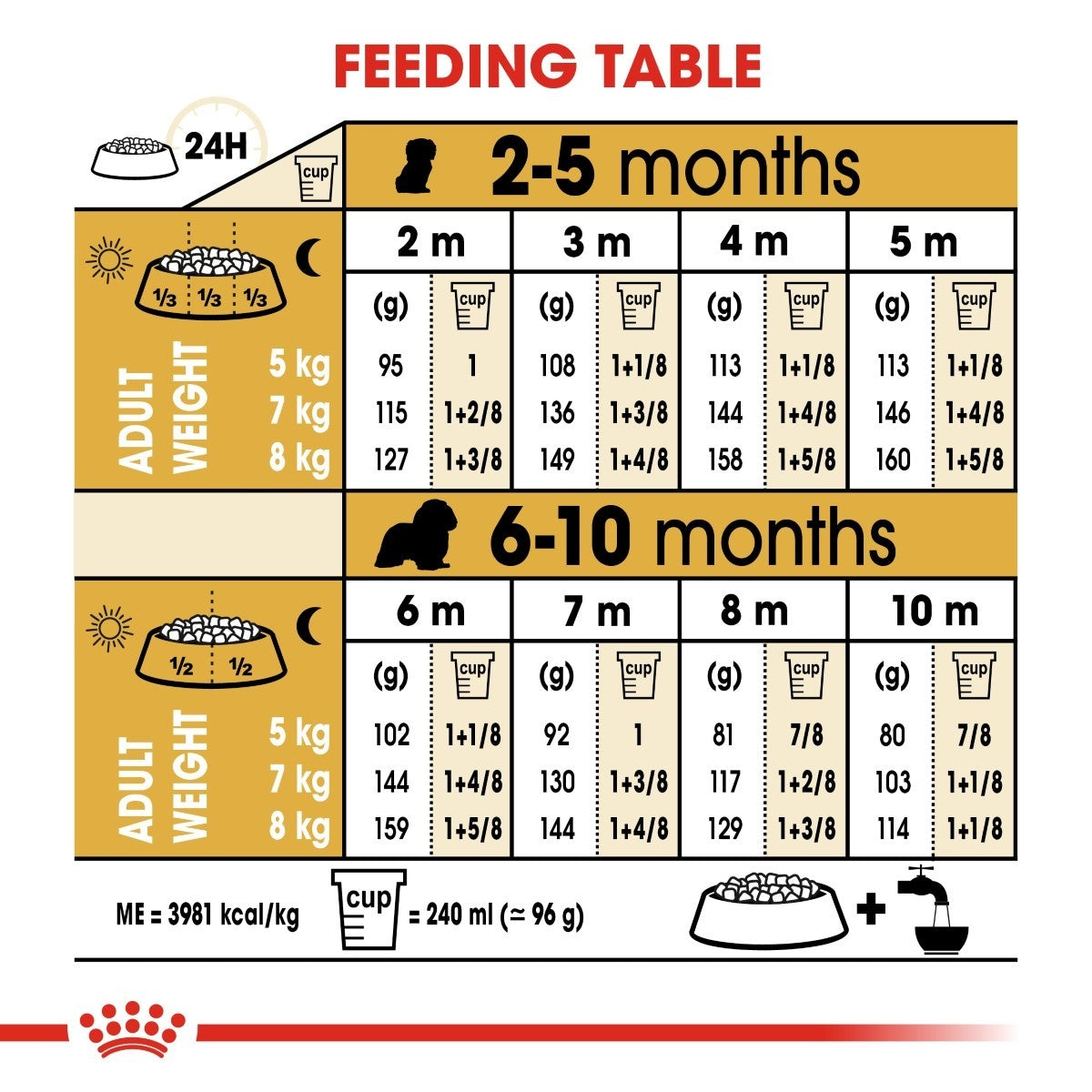 Feeding chart for puppies from 2 to 10 months with measurements and adult weight guidelines.