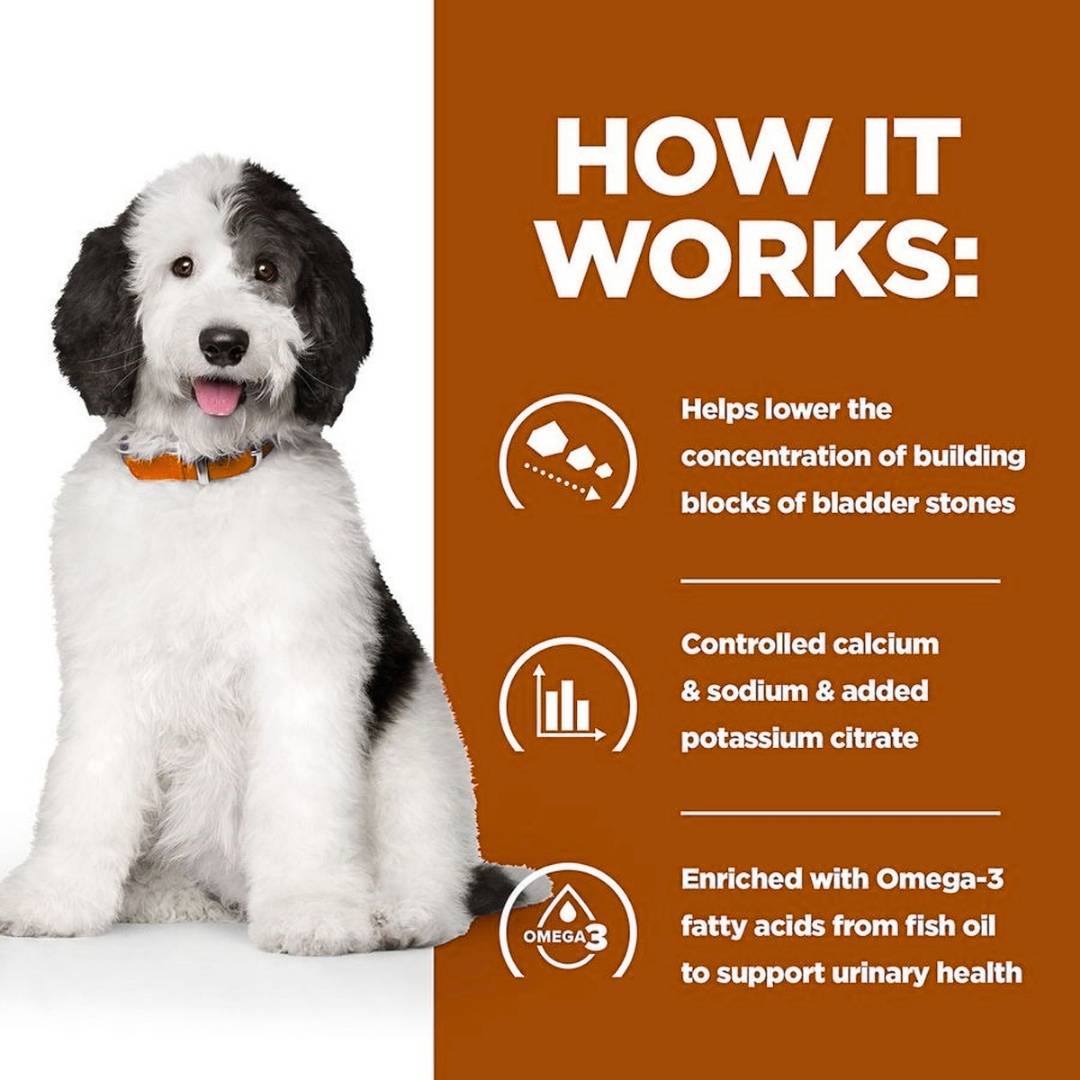 Prescription c/d dry food