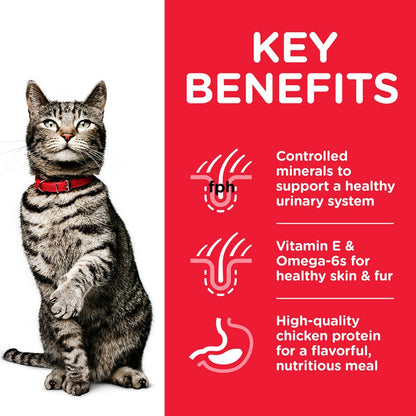 Adult cat food for urinary health