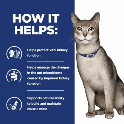 Cat wearing a blue collar with text on a blue background