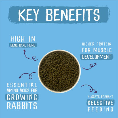 Key benefits of rabbit food on a blue background with text and a bowl of pellets.