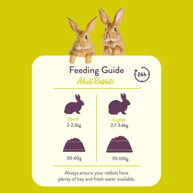 Feeding guide for adult rabbits with two rabbits on a yellow background
