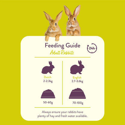 Feeding guide for adult rabbits with two rabbits on a yellow background