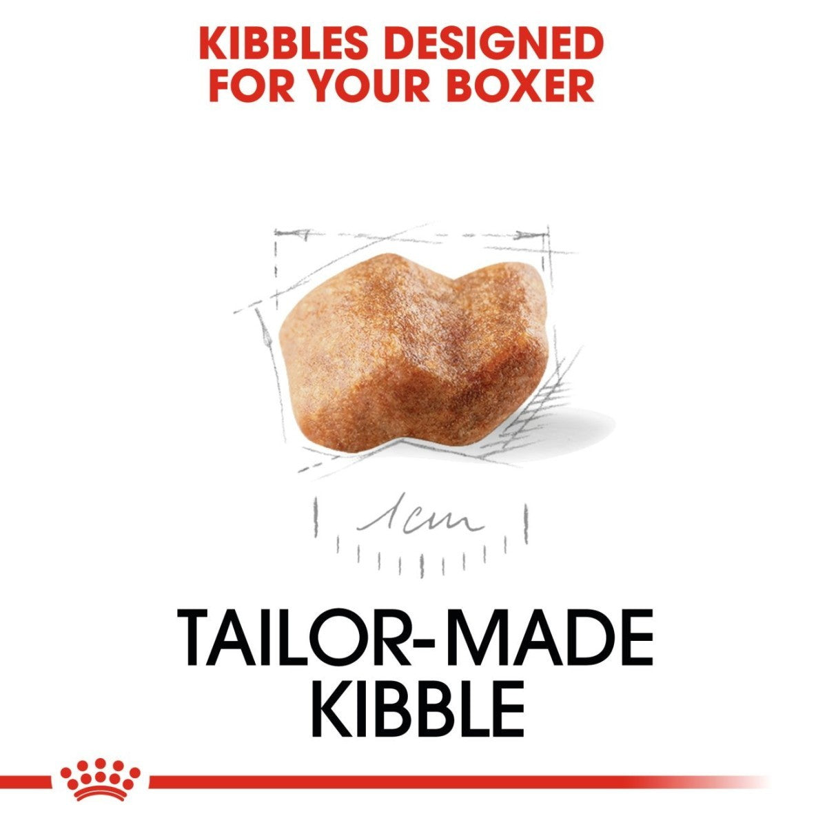 Dog food kibble with measurement details on a white background