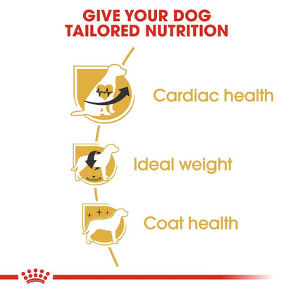 Diagram showing how to give your dog tailored nutrition with icons for cardiac health, ideal weight, and coat health.