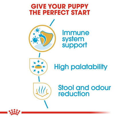 Dog food product advertisement highlighting immune system support, high palatability, and stool and odor reduction for puppies.