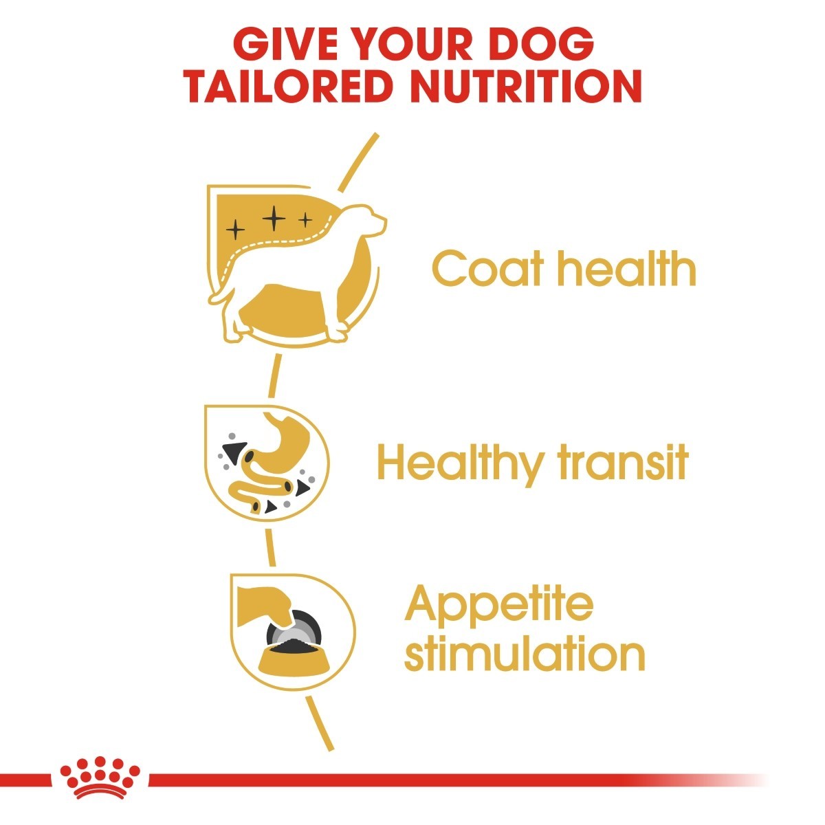 Diagram of dog nutrition benefits with icons and text on a white background