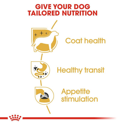 Diagram of dog nutrition benefits with icons and text on a white background