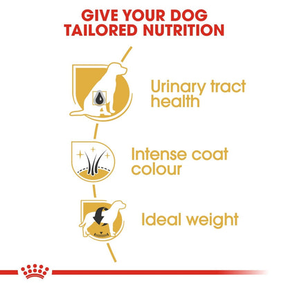 Royal Canin Miniature Schnauzer Dry Adult Dog Food