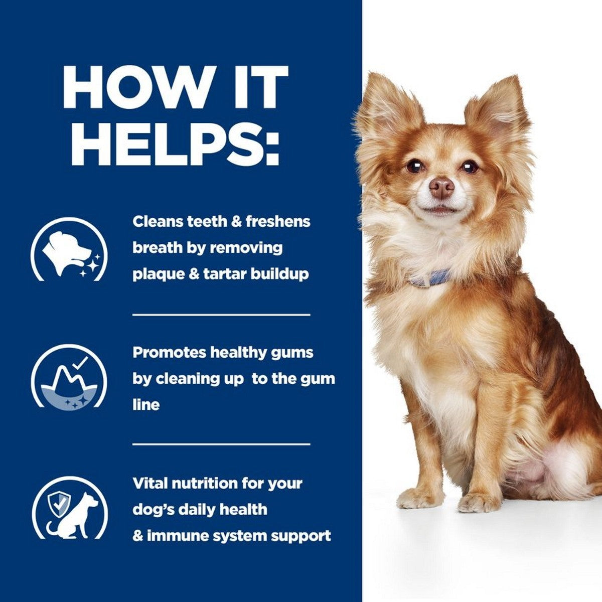 T/D Mini dog kibble
