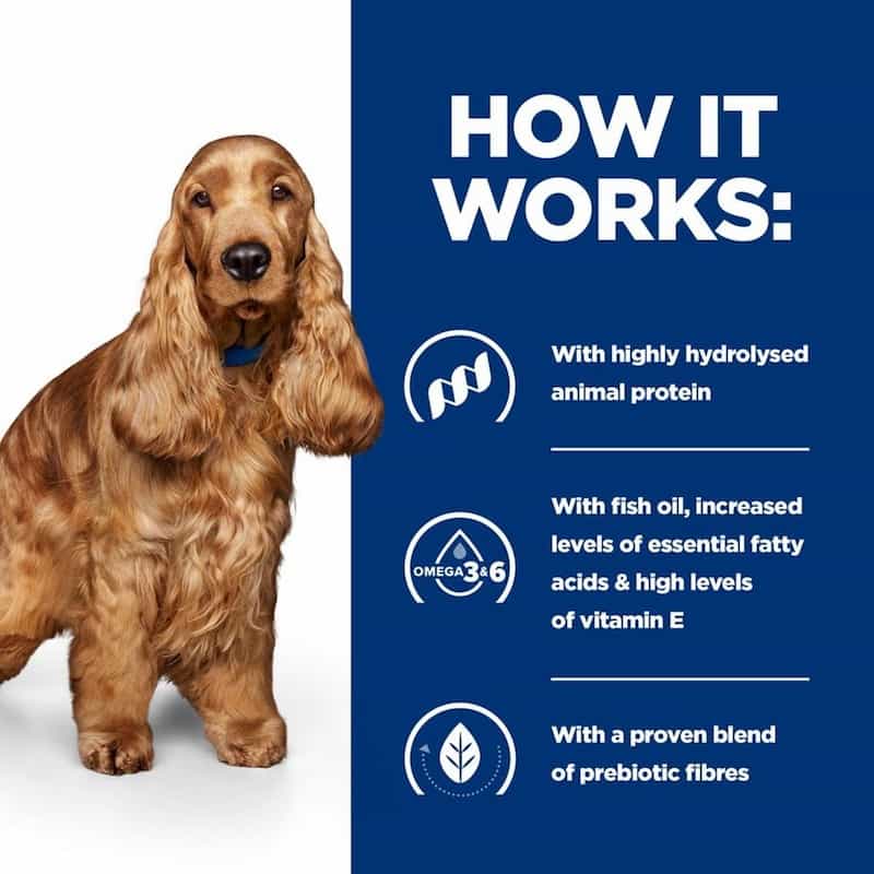 Dog with text explaining product benefits on a blue background