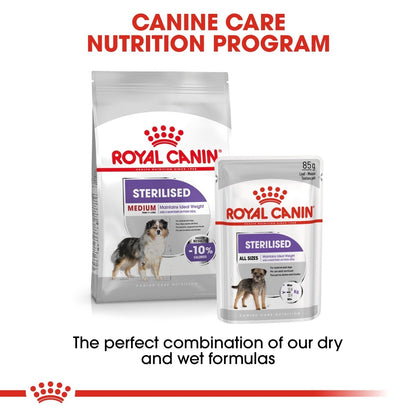 Royal Canin dog food packages for sterilised dogs on a white background