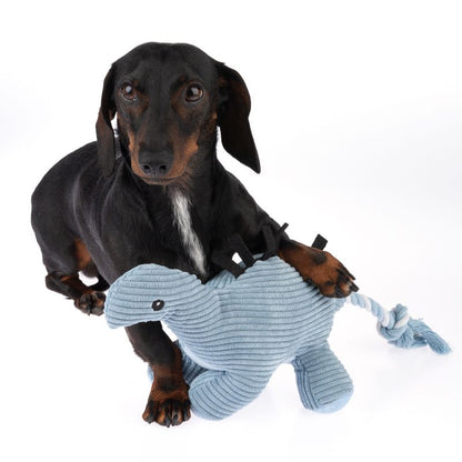 Dog playing with a blue knitted toy on a white background