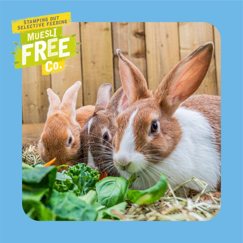 Three rabbits eating greens with 'Muesli Free Co.' branding on a blue background